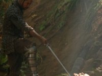 Во имя короля: История осады подземелья (2006)