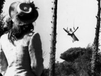 Белый шейх (1952)