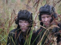 Белый тигр (2012)