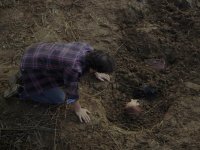 Выпущенный из клетки (2016)