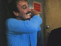 Возвращение Розовой пантеры (1975)