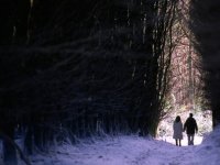Пиджак (2004)