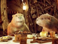 Хроники Нарнии: Лев, колдунья и волшебный шкаф (2005)