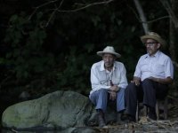 Я мечтаю на другом языке (2017)